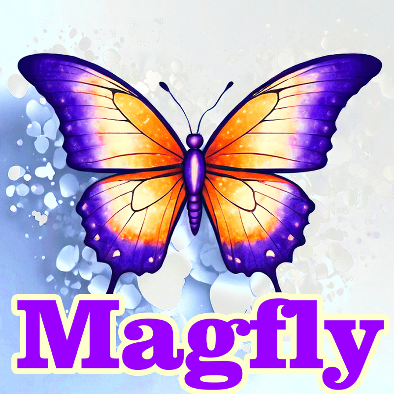 Magfly